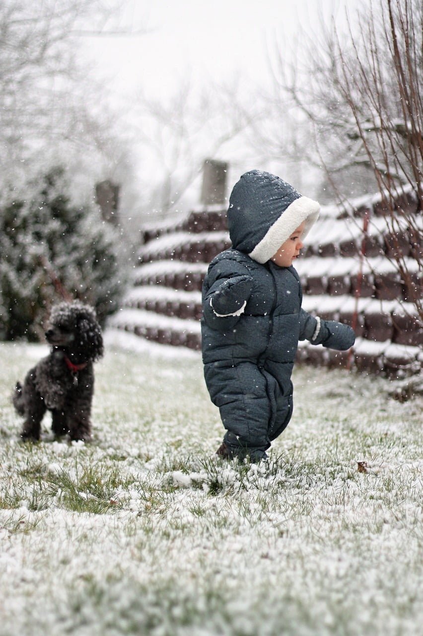 child, dog, snow-5271290.jpg
