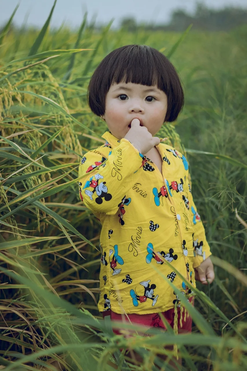 toddler, child, rice field-7233172.jpg